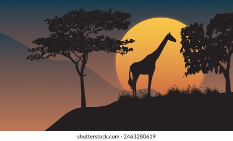 African landscape poster with acacia tree giraffe and sunset on background vector illustration