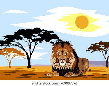 African landscape with summer sun and lying lion