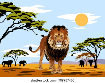 African landscape with summer sun and standing lion