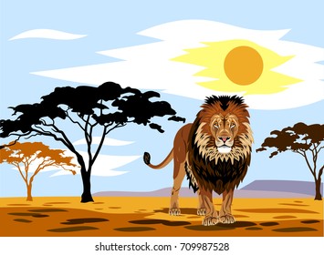 African landscape with summer sun and standing lion