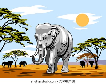 African landscape with summer sun and walking elephant