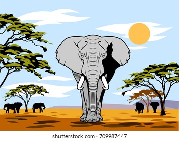 African landscape with summer sun and walking elephant