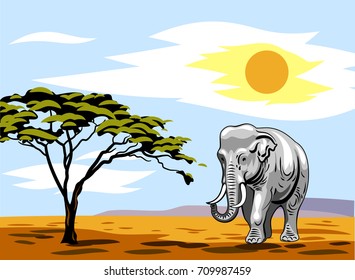 African landscape with summer sun and walking elephant