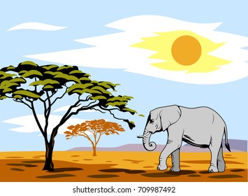 African landscape with summer sun and walking elephant