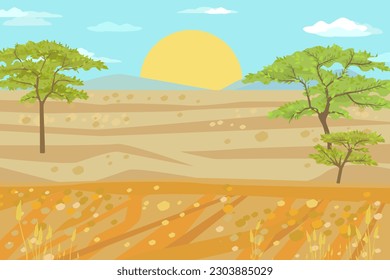 African landscape with sunrise. Plain with acacia trees.