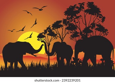 African landscape with sunset and silhouette Vector Image.