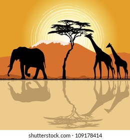 African landscape  in sunset time with giraffes and elephant.