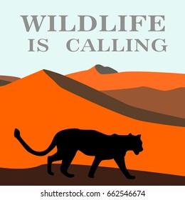 African landscape with tiger. Vector illustration.desert wildlife