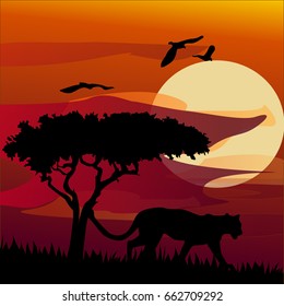African landscape with tiger. Vector illustration.desert wildlife