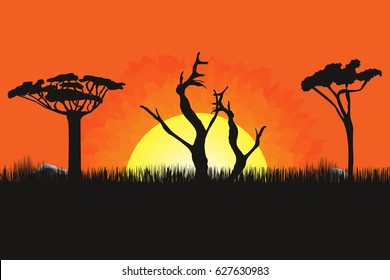 African landscape with trees and sun. Sunset on background. Savanna, prairies for wallpaper. Vector