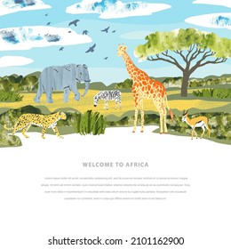 African landscape. Vector banner with animals, acacia tree, grass and place for text. Bright template for touristic, safari and zoo