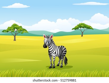 African landscape with zebra