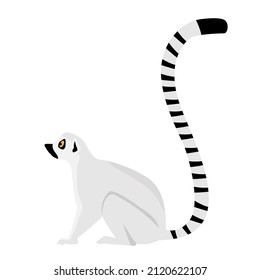 African lemur in flat style isolated on white background