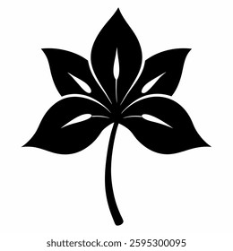African lily silhouette . Isolated African flower
