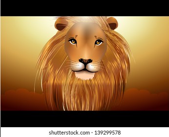 African Lion