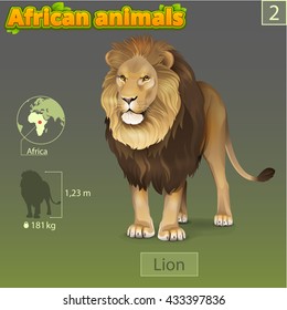 African lion