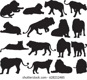 African lion and Asian lion silhouette contour