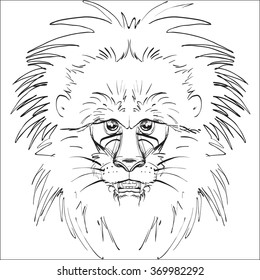 African lion head, logo sketch vector