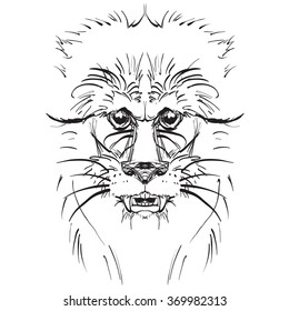 African lion head, logo sketch vector