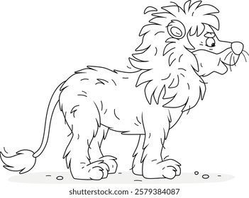 African lion with a large shaggy mane standing and looking forward, black and white vector cartoon illustration for a coloring book