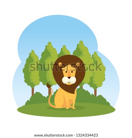 african lion in the savannah