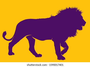 African Lion silhouetted on coloured background. A simple yet striking silhouette of one of the most powerful wild animals on earth, a male African Lion. Lions are currently endangered in Africa.