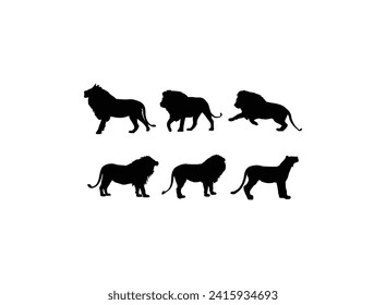 African lion silhouettes set. Vector collection of lion silhouettes.