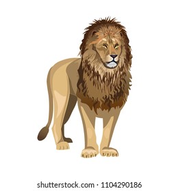 African Lion Standing Front Vector Illustration Stock Vector (Royalty ...