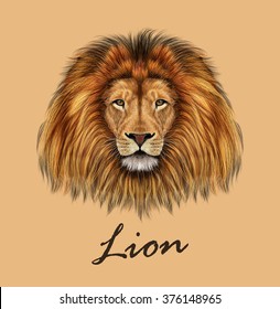 African Lion. Vector Illustrated portrait of Lion on tan background.