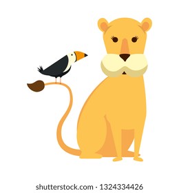 african lioness with toucan bird