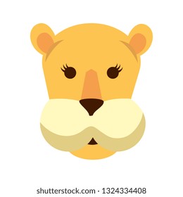 african lioness wild animal