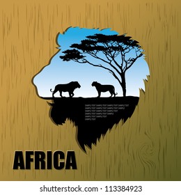 African lions background - vector illustration