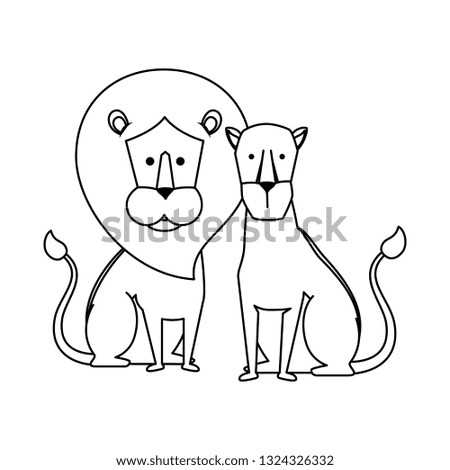 african lions couple characters