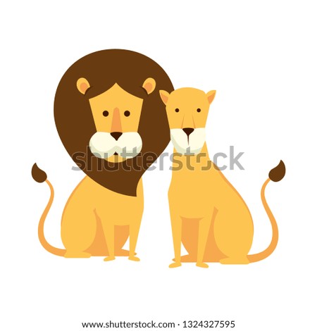 african lions couple characters
