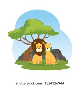 african lions couple in the landscape