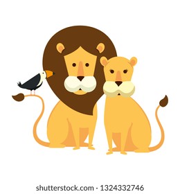 african lions couple with toucan bird