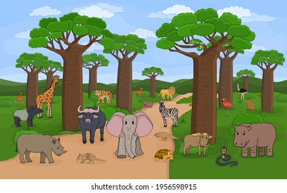 African Madagascar baobab avenue with animal from all over the world. Vector outline Doodle cartoon hand drawn landscape with Tiger, lion, rhinoceros, elephant, giraffe, crocodile, chameleon, zebra