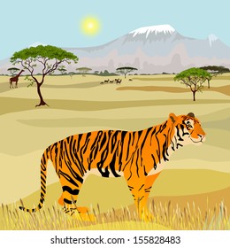 African Mountain idealistic landscape with tiger