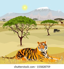 African Mountain idealistic landscape with tiger