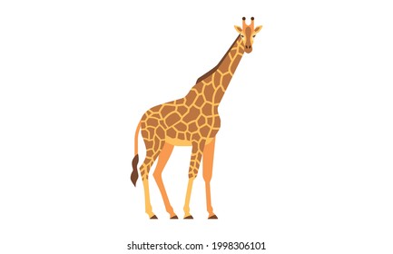 African native animal giraffe (Giraffa) side angle view, flat style vector illustration isolated on white background