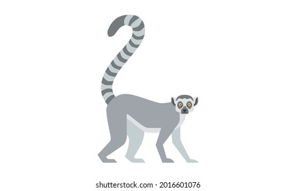 African native animal Ring-Tailed Lemur (Lemur catta) side angle view, flat style vector illustration isolated on white background