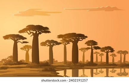 African Nature with Baobab Trees, Madagascar Landscape, vector illustration isolated, eps svg