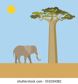 African Nature scene. Abstract landscape with elephant and baobab. Africa theme flat vector illustration.