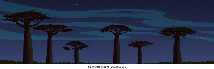 African night landscape, alley of baobabs under the starry sky. Madagascar panoramic view, wildlife scene. Artistic drawing, vector illustration.