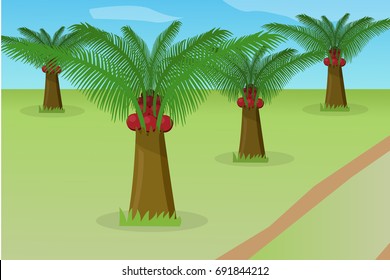 African Oil Palm Field, Vector