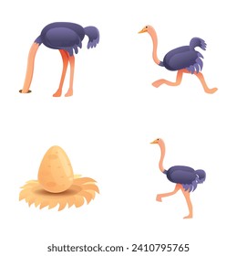 African ostrich icons set cartoon vector. Ostrich bird and big egg. Fauna, largest bird