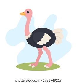 African ostrich illustration featuring Struthio camelus standing proudly, African ostrich vector art highlighting Struthio camelus.
