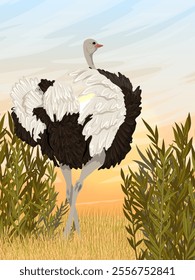 African ostrich stands in tall dry grass. Wildlife of Africa. Realistic vector vertical landscape.