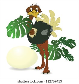 African ostrich vector drawing (cartoon character)