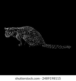 african palm civet hand drawing vector isolated on black background.